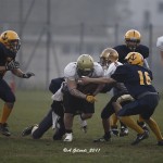 lions lakers