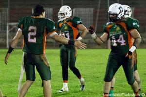 Dolphins 2013