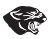 Panthers logo