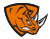 Rhinos logo