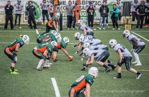 Dolphins Ancona Panthers Parma FIDAF 2017