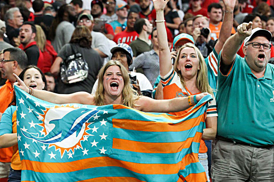 dolphins fans dolphins nation