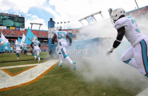 Miami Dolphins entry