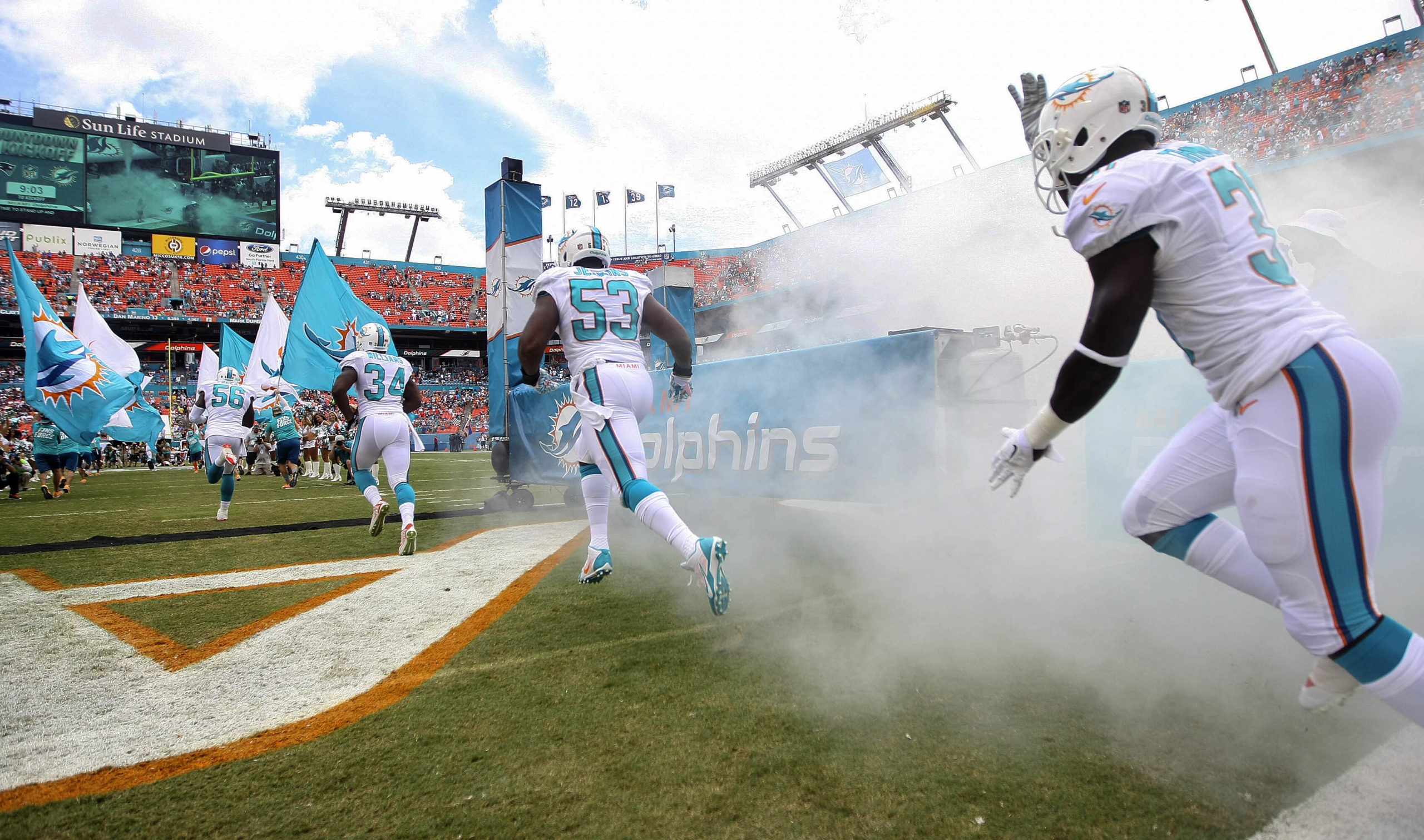 Miami Dolphins entry